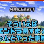 【Minecraft】マイクラ初心者がバニラで１から！エリトラ欲しい！【初心者】