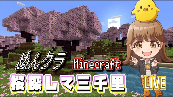 【マイクラ】桜探して三千里！【Minecraft】【ぬんクラ】