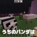 前回のMinecraftの家に新しい部屋が！？【マインクラフト】