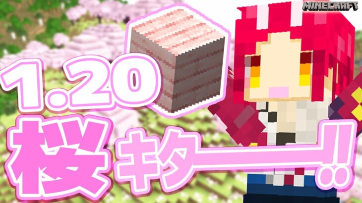 ゴーレムトラップ燃えました・・・(´・ω・`)【Minecraft マイクラ建築】Ver.1.20.1 JAVA版【戦国ローグVtuber】