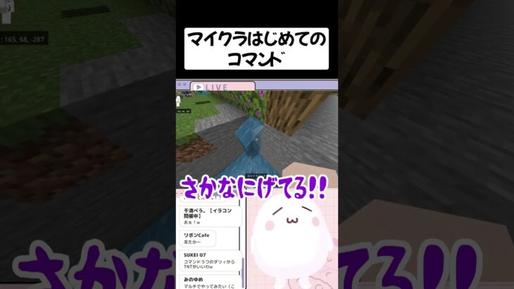 マイクラはじめてのコマンド【マイクラ / Minecraft 】#shorts