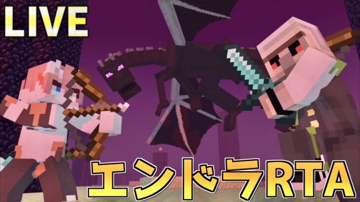 【マイクラ】りーちゃんエンドラRTAコーチング計画(vol,1るざぴもくるかも)