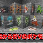 鉱石からSVの新ポケモンがもらえる世界で100日間サバイバル？！😱【まいくら・マインクラフト】【Pixelmon・ポケモンmod】