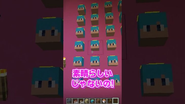 お母さんの家にあかさかの顔置きまくってみた【マイクラ・マインクラフト】#shorts