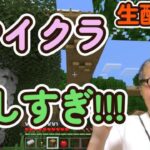 【switch　マイクラ】マイクラに夢中になってしまうのだ