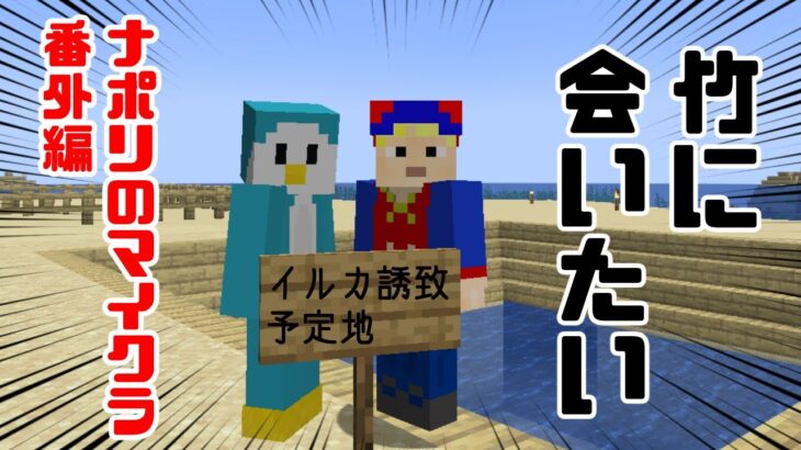 【ナポリのマイクラ番外編】竹が欲しい＆クリスタルタワー建設