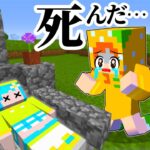 亡くなった友達を生き返らせるマインクラフト😭 (#ぴこみんず)