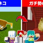 【初心者vsプロ】ネコアレンジ建築バトル!!【マイクラ・マインクラフト】