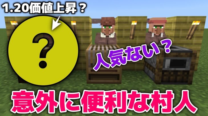 【マイクラ】1.20評価上昇職も？人気なさそうだけど、実は便利な村人3選【マイクラ統合版1.20.1】