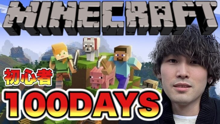 【100DAYS】12日目の初心者のマイクラサバイバル【Minecraft】