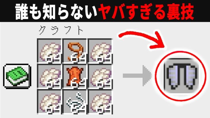 【海外検証】謎が多すぎるマインクラフト12選