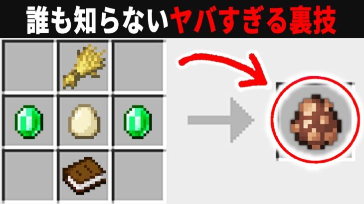 【海外検証】謎が多すぎるマインクラフト12選【ゆっくり実況】【マイクラ】