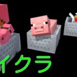 マイクラ　19日目　pumita　とことん探してやんよーぅ