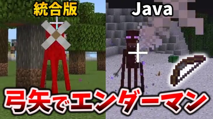 エンダーマンに弓矢を当てる方法2選【マイクラ統合版 & Java版】