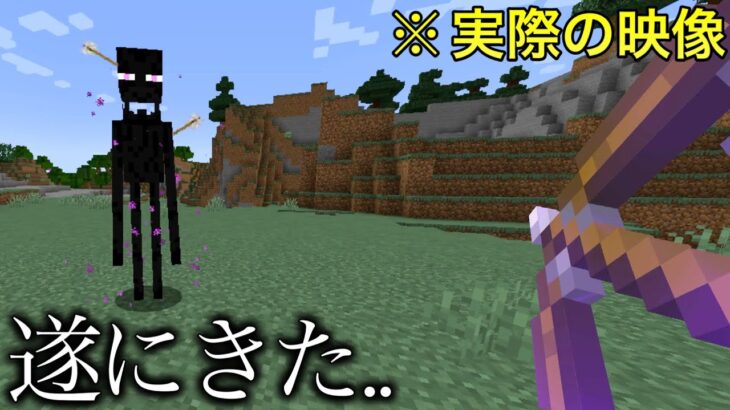 【マイクラ】実はエンダーマンに矢をぶっ刺す方法が存在してました.. 〜普通知ってるはずがない豆知識・雑学5選〜　　【マインクラフト】【まいくら】【検証】【雑学】【トリビア】