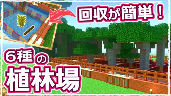 【マイクラ】自動回収機能付き！超便利な6種類の植林場の作り方 #61【統合版サバイバル】