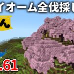 【マイクラ実況】桜の原木が欲しいので 桜バイオーム丸ごと伐採します【ウドンクラフト】#61