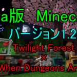 [JAVA版Minecraft] 　JAVA版の1.20.1をMODで遊びます。　Twilight Forest×WhenDungeonsArise　作業厨のシングルプレイ　完全サバイバルでプレイ中