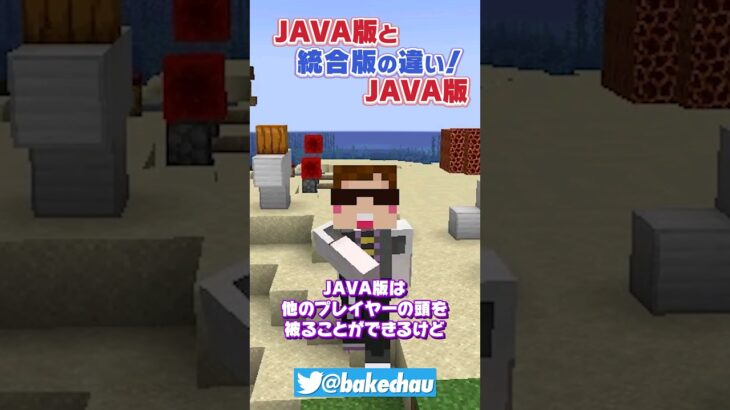 JAVA版と統合版の違いが酷すぎる！！w 【マイクラ検証 豆知識 解説 実況】