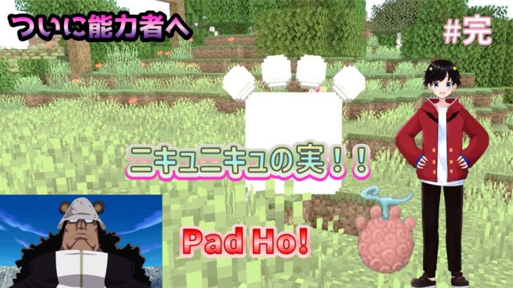 【マインクラフト】~悪魔の実を獲得せよ!~【ワンピースMOD】#完