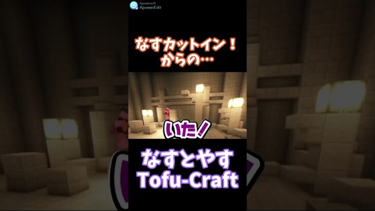 【なすとやす】なすの必殺技発動？！【マイクラMOD/TofuCraft】切り抜き #shorts