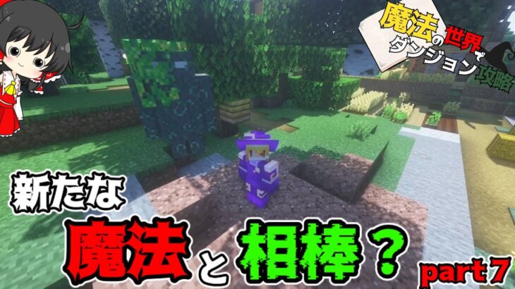 【Mincraft】新たな魔法を試してみよう【ゆっくり実況】part7