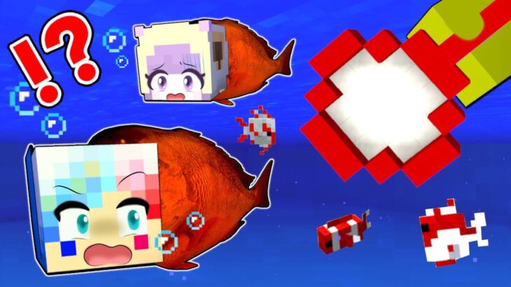 【人間金魚すくい…⁉️🐟】お祭りデートで人面魚が釣れるマインクラフト🤣【マイクラ Minecraft】ぽっぴんず