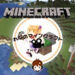 【仮拠点前定点カメラ】れなのマインクラフト【Minecraft】