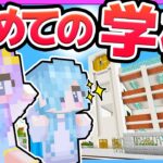 🪐小学校に通うのです！【ゆっくり実況/マイクラ/まいくら/マインクラフト/Minecraft】