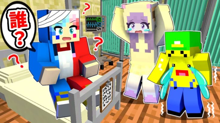 【さようならカッシー…😢】記憶喪失になって友達を忘れるマインクラフト⁉️😭【マイクラ Minecraft】ぽっぴんず