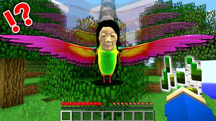 【人面鳥の顔を見てしまった結果…⁉️】超怖いオバケ以津真天を救うマインクラフト👻【マイクラ Minecraft】ぽっぴんず