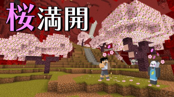 ネザーに桜の並木道つくってみた🌸 PART193【マイクラ.アツクラ】