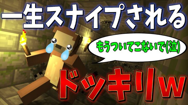 全く知らない人に一生スナイプされるドッキリがおもしろすぎたｗｗｗｗｗｗｗｗｗ【マイクラPVP】