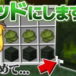 【マインクラフト】岩盤より深い、人類のまだ知らない世界で生きる:Part5【ゆっくり実況】