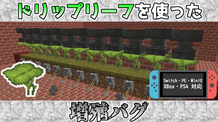 【統合版マイクラ】Ver1.20.1 ドリップリーフを使った増殖バグを発見!! 統合版マインクラフト・バグ報告会【Switch/Win10/PE/PS4/Xbox】