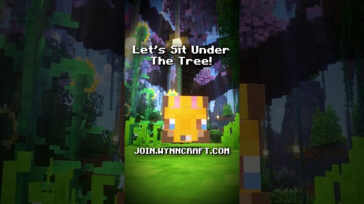 Vibin with the Wybels! #mc #minecraft #wynncraft #mmorpg #minecraftserver #lofi #vibes #chill