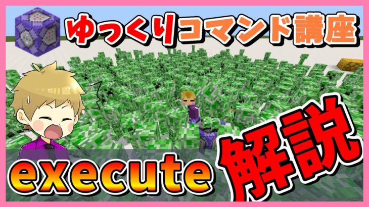 executeの使い方と使いやすいサブコマンドの紹介【統合版マイクラコマンド講座】