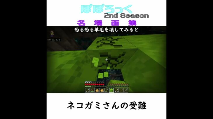 【マイクラ名場面集】ネコガミさんの受難　from ぽぽろっく 2ndSeason　#Minecraft　#Shorts
