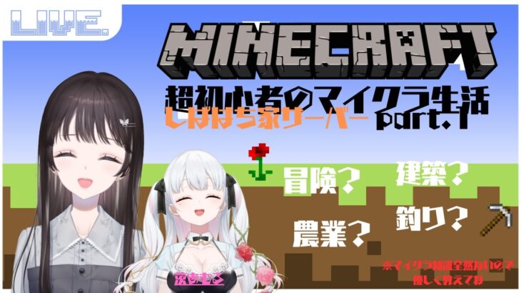 【マインクラフト】初心者のマイクラ生活　しばはち家サーバー part.1【新人vtuber】