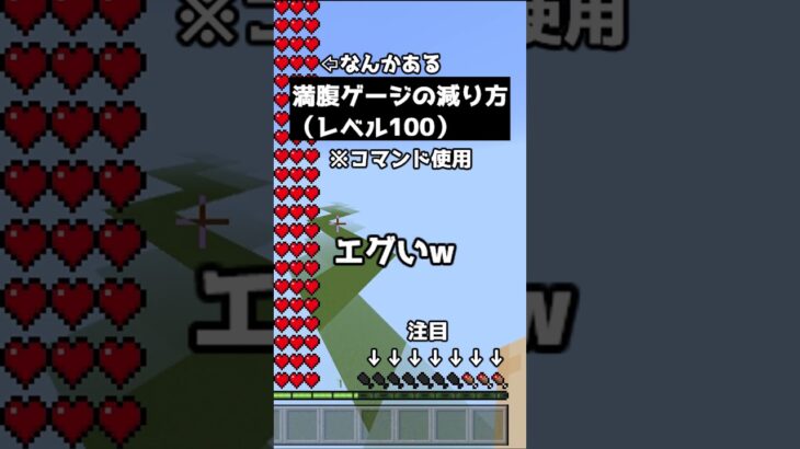 満腹ゲージの減り方がエグい件について　【マインクラフト】 #shorts