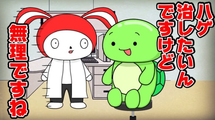 【コント】ハゲを治しにきたカメｗｗ(マイッキー声真似・コント・アニメ）