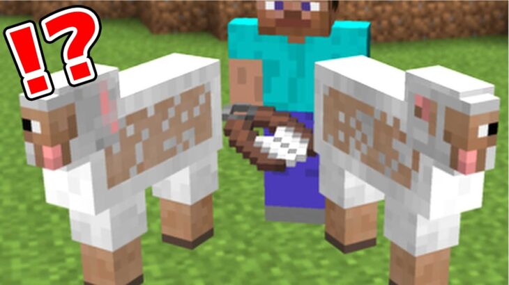 脳が溶けまくるマインクラフト【まいくら・マインクラフト】