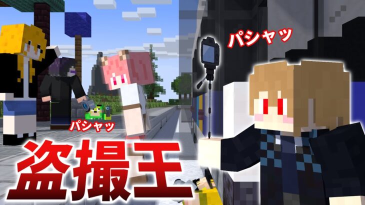 こっそり写真を撮れるかな！？盗撮ゲーム【マインクラフト】