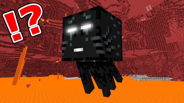 ヤバい都市伝説が嘘だと証明しようとした結果！？【まいくら・マインクラフト】