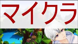 【マイクラ】