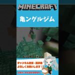 【マインクラフト/建築】亀ングルジム【ろーたのゲーム実況ちゃんねる】