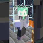 マイクラトロッコギャンブルでイカサマされました【マインクラフト】【そらねこ】