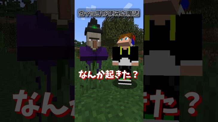 【マイクラ】ウィッチが使える魔法があるらしい🐧【ぺんてこクラフト】