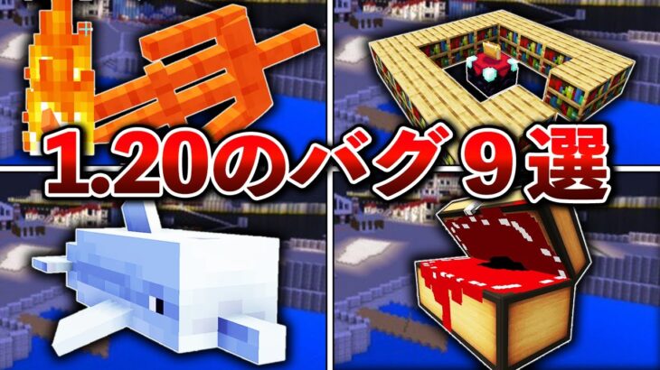 【マイクラ1 20】ヤバすぎるバグ9選【ゆっくり解説】 Minecraft Summary マイクラ動画