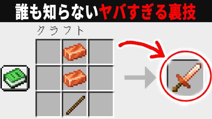 【海外検証】謎が多すぎるマインクラフト12選【ゆっくり実況】【マイクラ】